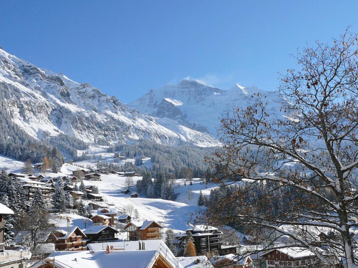 Apartment Panoramapark Soleil Haus D Apt 3 By Interhome Wengen Bagian luar foto