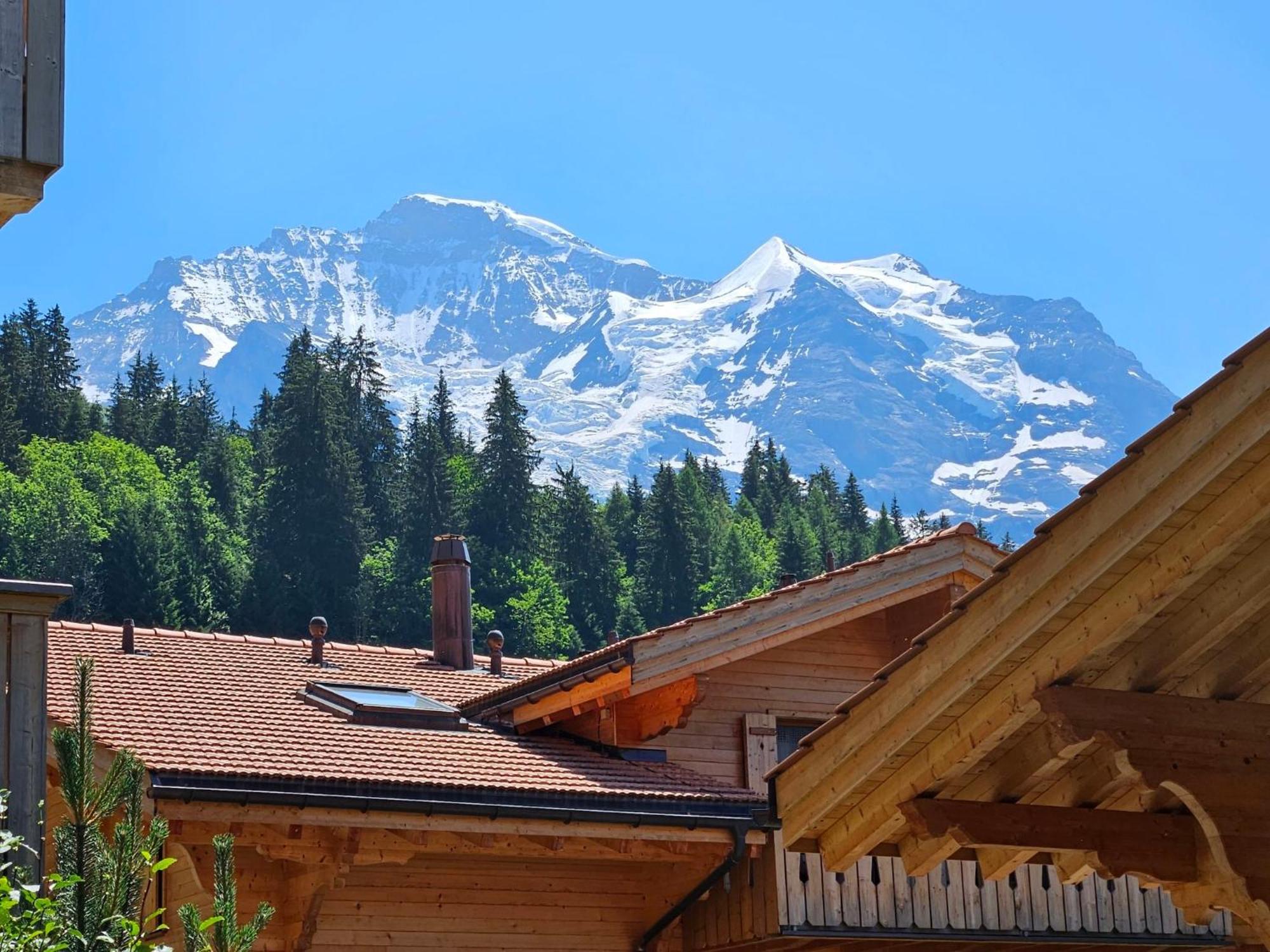 Apartment Panoramapark Soleil Haus D Apt 3 By Interhome Wengen Bagian luar foto