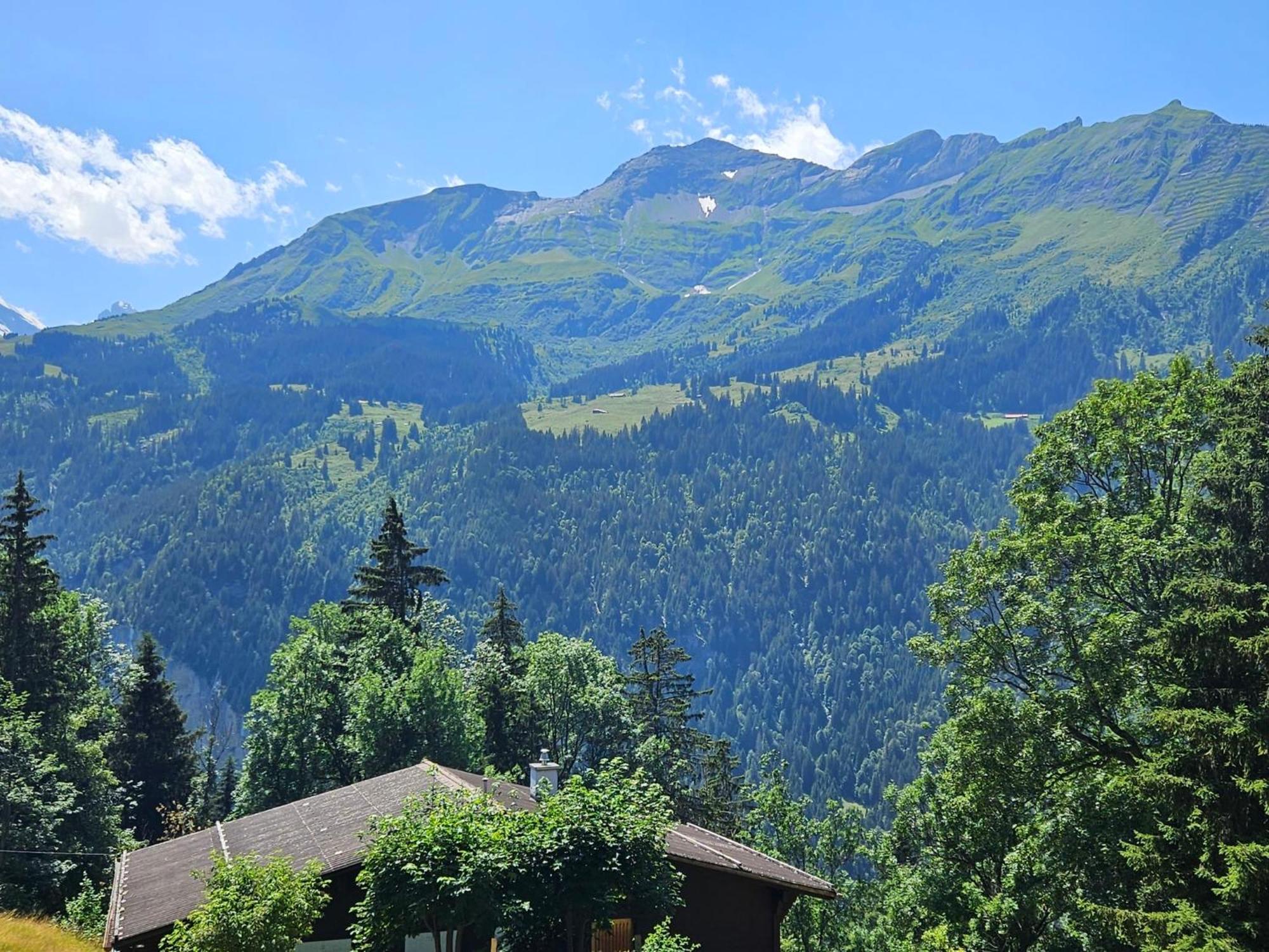 Apartment Panoramapark Soleil Haus D Apt 3 By Interhome Wengen Bagian luar foto