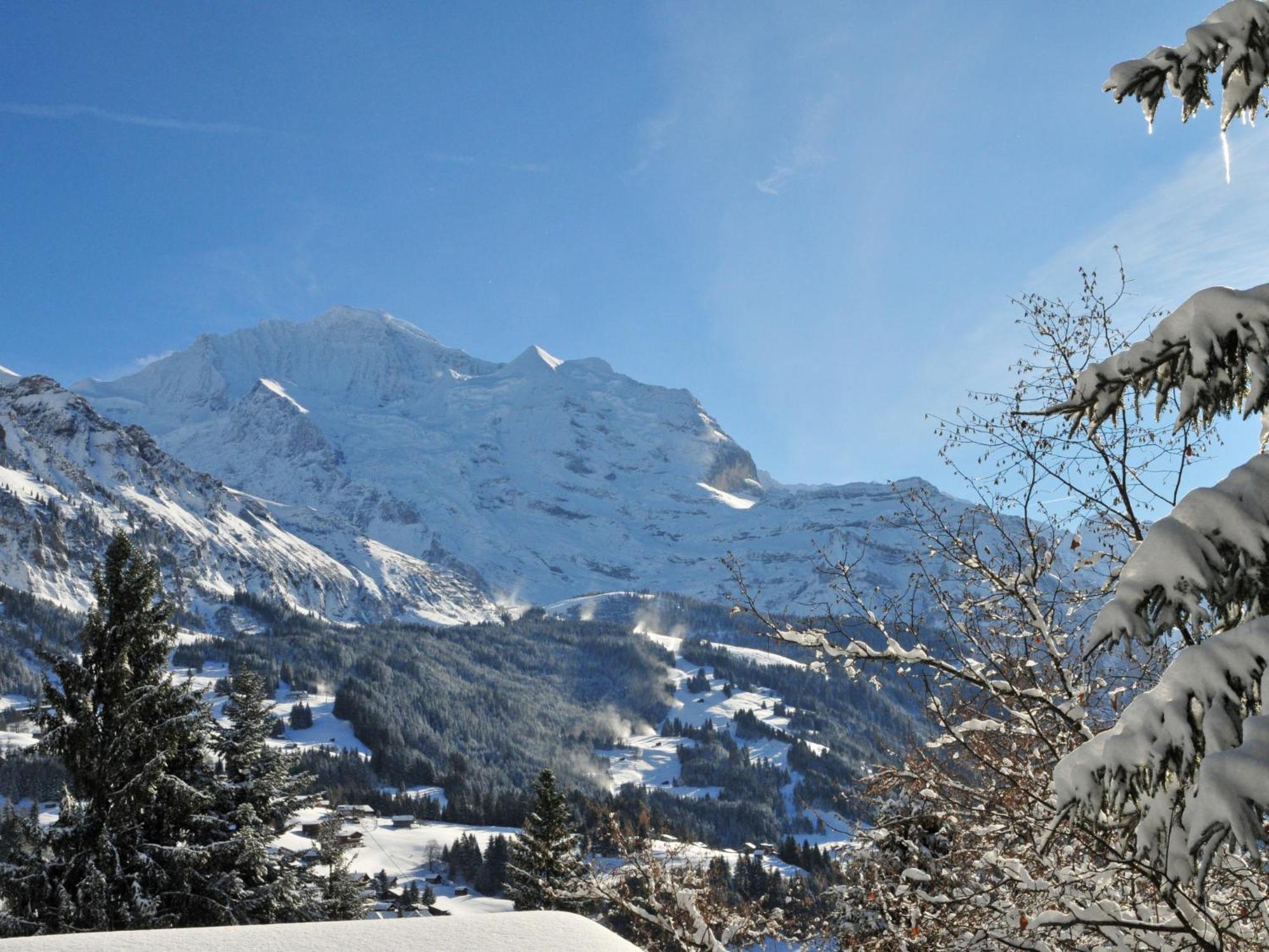 Apartment Panoramapark Soleil Haus D Apt 3 By Interhome Wengen Bagian luar foto